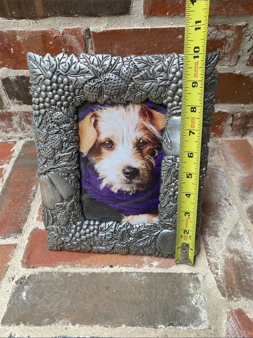 Vintage pewter frame of various fruits